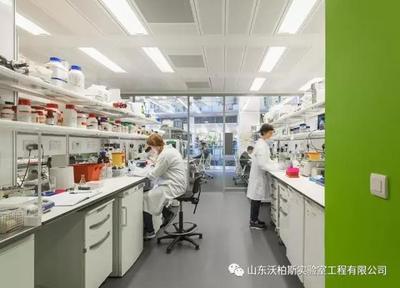 年度实验室 英国弗朗西斯·克里克研究所的医学研究与试验发展